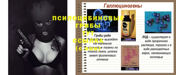 эйфоретик Мегион