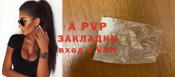 хмурый Чита